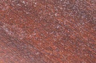 對(duì)于家里灰塵的清理，有什么方法嗎？