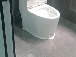 衛(wèi)生間有異味，有什么去除小技巧呢？