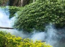 四害消殺完成后，需要做哪些鞏固工作呢？